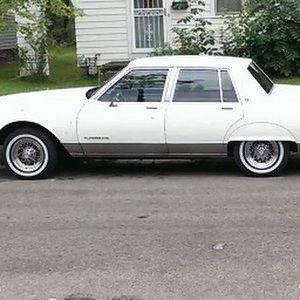 Meet your Posher, Michael